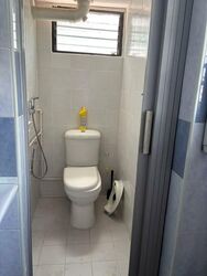 Blk 165 Stirling View (Queenstown), HDB 3 Rooms #565231461